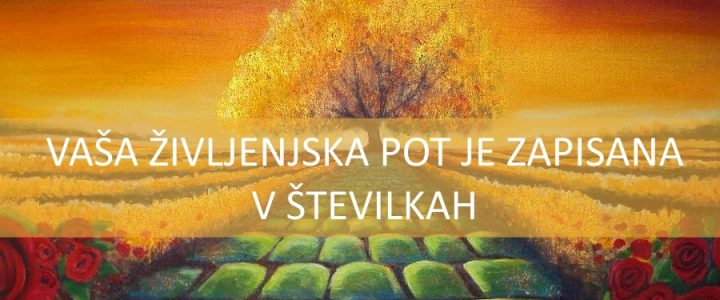 ŽIVLJENSKO ŠTEVILO IN NJEGOVA ENERGIJSKA PODPORA ŽIVLJENSKO ŠTEVILO IN NJEGOVA ENERGIJSKA PODPORA